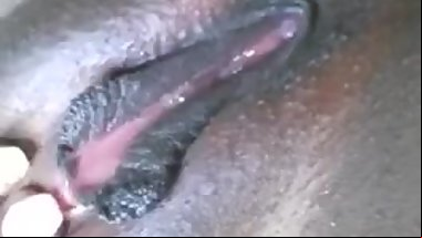 Fat