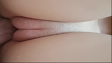 Legs